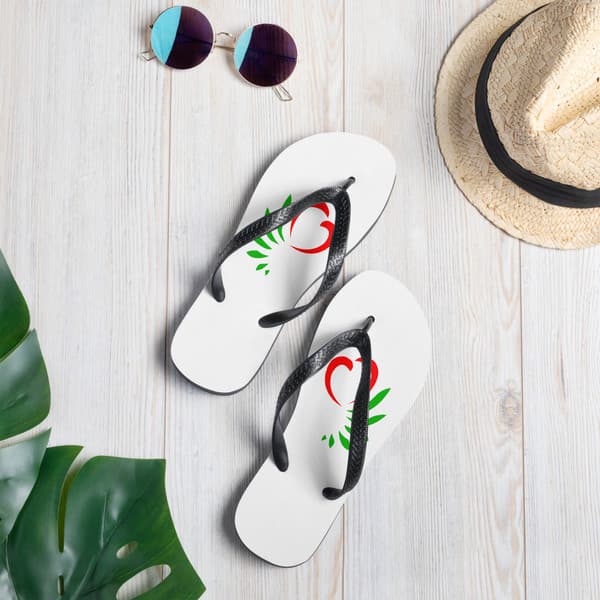 Flip Flops